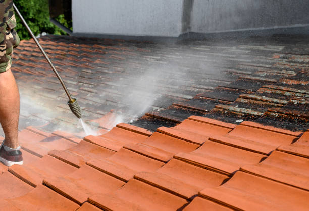 Best Deck Cleaning Services  in Lofall, WA