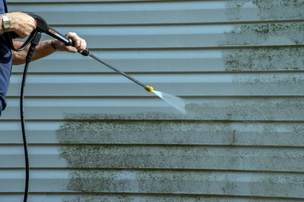 Best Pressure Washing Driveway  in Lofall, WA