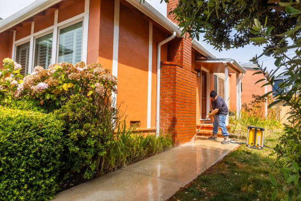 Best House Pressure Washing  in Lofall, WA