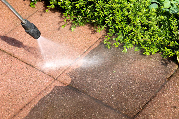 Best Pressure Washing Company Near Me  in Lofall, WA